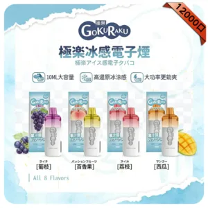 GOKURAKU 12000口 極樂一次性電子煙